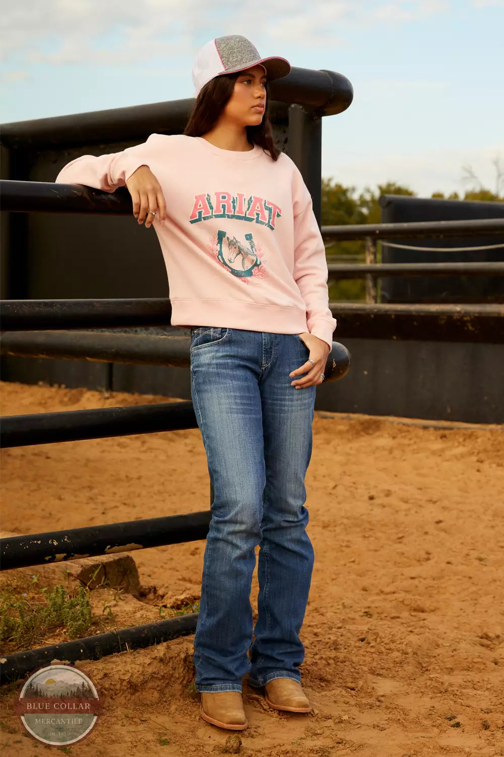 10048638 Horseshoe College Sweatshirt